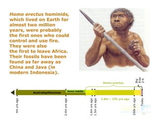 31
250kyrsago
Today
4myrsago
Australopithecines
1.5myrsago
Homo habilis
2.4myrsago
1.6myrsago
Big
Eras
2-9
Homo erectus hominids,
which lived on Earth for
almost two million
years, were probably
the first ones who could
control and use fire.
They were also
the first to leave Africa.
Their fossils have been
found as far away as
China and Java (in
modern Indonesia).
Homo erectus
1.8m – 27k yrs ago
 