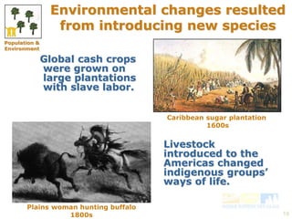 Environmental changes resulted 
from introducing new species 
19 
Global cash crops 
were grown on 
large plantations 
with slave labor. 
Caribbean sugar plantation 
1600s 
Livestock 
introduced to the 
Americas changed 
indigenous groups’ 
ways of life. 
Plains woman hunting buffalo 
1800s 
Population & 
Environment 
 