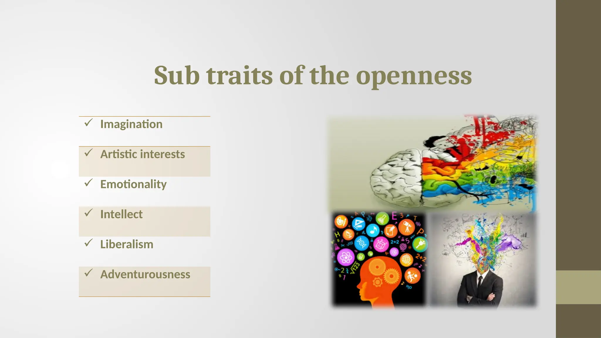 Sub traits of the openness
 Imagination
 Artistic interests
 Emotionality
 Intellect
 Liberalism
 Adventurousness
 