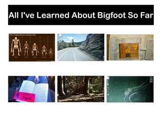 All I've Learned About Bigfoot So Far
 