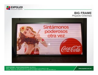 BIG FRAME 
Proyecto Cintermex 
 