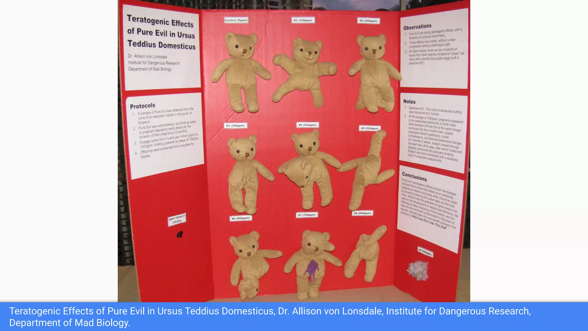 Teratogenic Effects of Pure Evil in Ursus Teddius Domesticus, Dr. Allison von Lonsdale, Institute for Dangerous Research,
Department of Mad Biology.
 