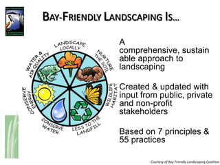 BAY-FRIENDLY LANDSCAPING IS…
              • A
                comprehensive, sustain
                able approach to
                landscaping

              • Created & updated with
                input from public, private
                and non-profit
                stakeholders

              • Based on 7 principles &
                55 practices

                        Courtesy of Bay Friendly Landscaping Coalition
 