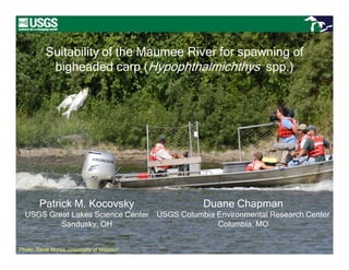 Suitability of the Maumee River for spawning of
            bigheaded carp (Hypophthalmichthys spp.)




        Patrick M. Kocovsky                             Duane Chapman
  USGS Great Lakes Science Center            USGS Columbia Environmental Research Center
          Sandusky, OH                                     Columbia, MO


Photo: Steve Morse, University of Missouri
 