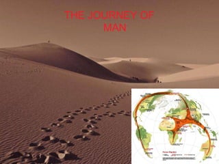 THE JOURNEY OF    MAN 