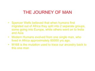 THE JOURNEY OF MAN Spencer Wells believed that when humans first migrated out of Africa they split into 2 separate groups, some going into Europe, while others went on to India and Asia Modern Humans evolved from one single man, who lived in Africa approximately 60000 yrs ago. M168 is the mutation used to trace our ancestry back to this one man 