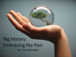 Big History: Embracing the Past By: Toni Gonzales 