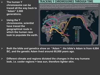 The way we are, also demonstrates the resiliency of the human race, and the ability to adapt to change.