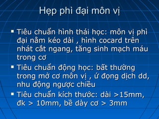 Hẹp phì đại môn vịHẹp phì đại môn vị
 Tiêu chuẩn hình thái học: môn vị phìTiêu chuẩn hình thái học: môn vị phì
đại nằm kéo dài , hình cocard trênđại nằm kéo dài , hình cocard trên
nhát cắt ngang, tăng sinh mạch máunhát cắt ngang, tăng sinh mạch máu
trong cơtrong cơ
 Tiêu chuẩn động học: bất thườngTiêu chuẩn động học: bất thường
trong mở cơ môn vị , ứ đọng dịch dd,trong mở cơ môn vị , ứ đọng dịch dd,
nhu động ngược chiềunhu động ngược chiều
 Tiêu chuẩn kích thước: dài >15mm,Tiêu chuẩn kích thước: dài >15mm,
đk > 10mm, bề dày cơ > 3mmđk > 10mm, bề dày cơ > 3mm
 