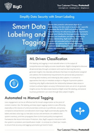 Big Id Software BigID Data Sheet: Smart Data Labeling and Tagging | PDF