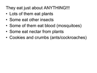 They eat just about ANYTHING!!!  Lots of them eat plants Some eat other insects  Some of them eat blood (mosquitoes) Some eat nectar from plants Cookies and crumbs (ants/cockroaches)  