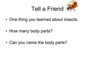 Tell a Friend One thing you learned about insects. How many body parts? Can you name the body parts? 