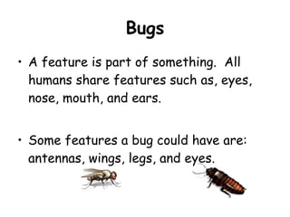 Bugs A feature is part of something.  All humans share features such as, eyes, nose, mouth, and ears. Some features a bug could have are: antennas, wings, legs, and eyes. 