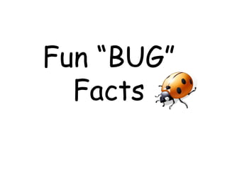 Fun “BUG” Facts 