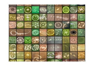 Viral Dna - The Chemistry of Viral Marketing