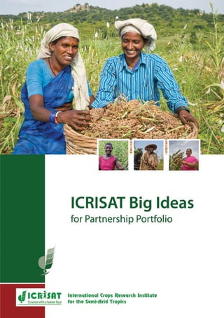ICRISAT Big ideas for partnership portfolio