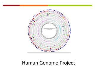 Human Genome Project
 