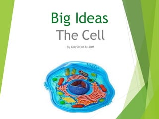 Big Ideas
The Cell
By KULSOOM ANJUM
 