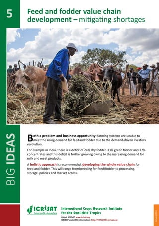 BIG IDEAS for partnerships in sustainable development