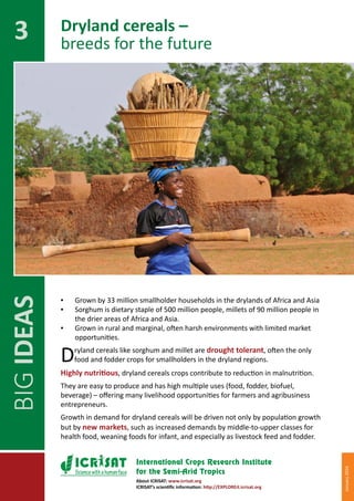 BIG IDEAS for partnerships in sustainable development