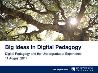 Big Ideas in Digital Pedagogy!
Digital Pedagogy and the Undergraduate Experience!
11 August 2014!
 
