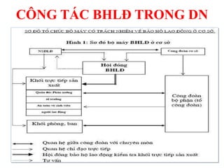 CÔNG TÁC BHLĐ TRONG DN
47
 