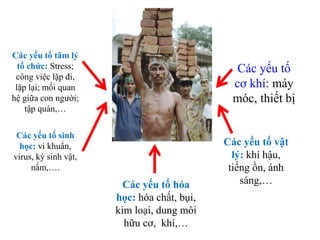 Các yếu tố tâm lý
tổ chức: Stress;
công việc lặp đi,
lặp lại; mối quan
hệ giữa con người;
tập quán,…
Các yếu tố sinh
học: vi khuẩn,
virus, ký sinh vật,
nấm,….
Các yếu tố hóa
học: hóa chất, bụi,
kim loại, dung môi
hữu cơ, khí,…
Các yếu tố vật
lý: khí hậu,
tiếng ồn, ánh
sáng,…
Các yếu tố
cơ khí: máy
móc, thiết bị
 