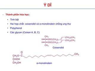 B i Gi ng Carbohydrate C a TS V Th Oan PDF