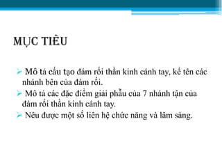 MỤC TIÊU
 Mô tả cấu tạo đám rối thần kinh cánh tay, kể tên các
nhánh bên của đám rối.
 Mô tả các đặc điểm giải phẫu của 7 nhánh tận của
đám rối thần kinh cánh tay.
 Nêu đƣợc một số liên hệ chức năng và lâm sàng.
 