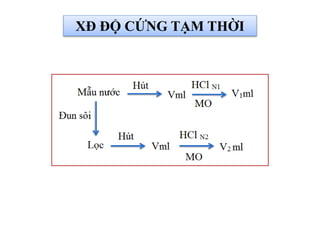 XĐ ĐỘ CỨNG TẠM THỜI
 