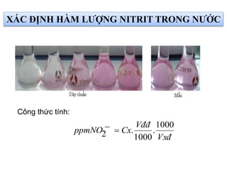 Vxđ
Vđđ
CxppmNO
1000
.
1000
.2 
Công thức tính:
XÁC ĐỊNH HÀM LƯỢNG NITRIT TRONG NƯỚC
 