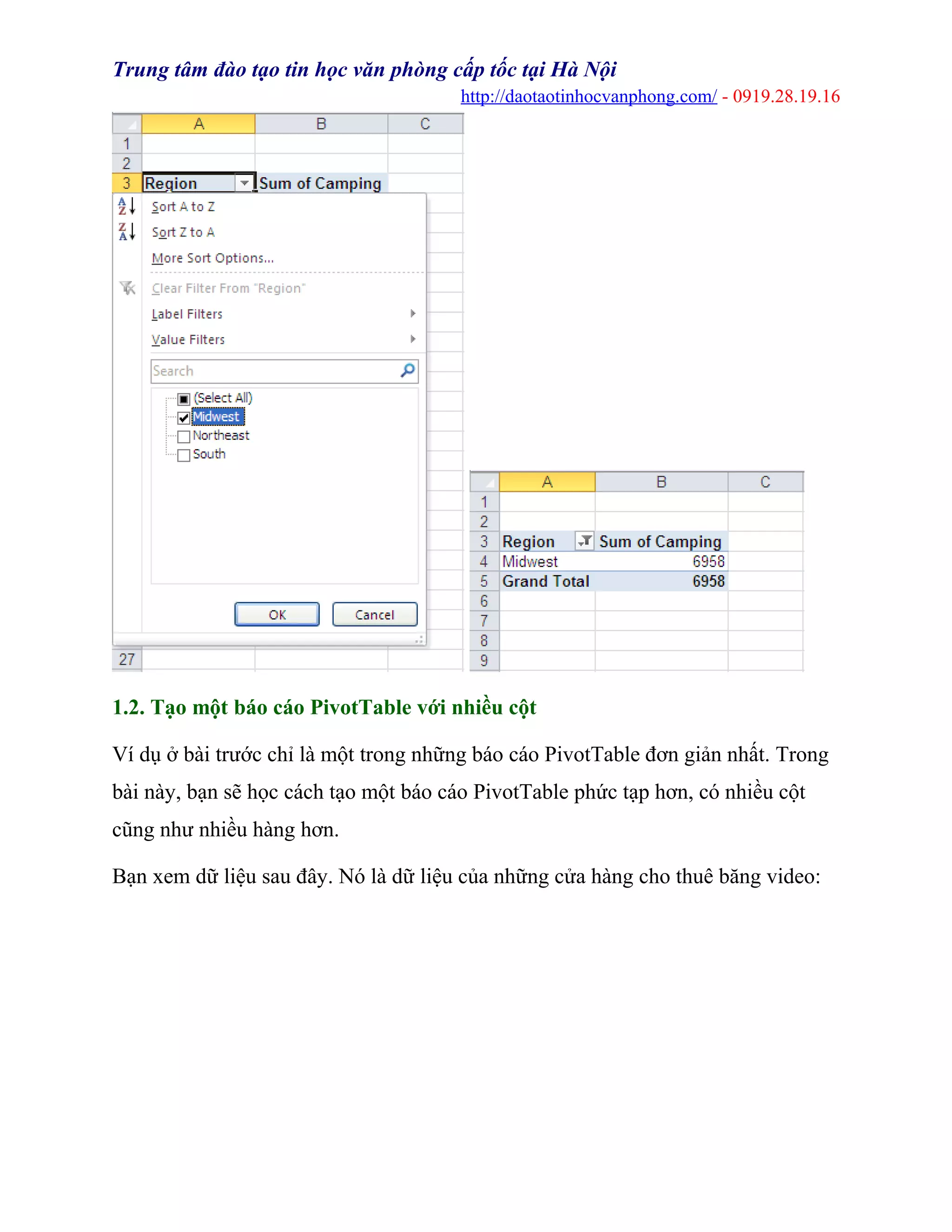 Trung tâm đào tạo tin học văn phòng cấp tốc tại Hà Nội
http://daotaotinhocvanphong.com/ - 0919.28.19.16
1.2. Tạo một báo cáo PivotTable với nhiều cột
Ví dụ ở bài trước chỉ là một trong những báo cáo PivotTable đơn giản nhất. Trong
bài này, bạn sẽ học cách tạo một báo cáo PivotTable phức tạp hơn, có nhiều cột
cũng như nhiều hàng hơn.
Bạn xem dữ liệu sau đây. Nó là dữ liệu của những cửa hàng cho thuê băng video:
 