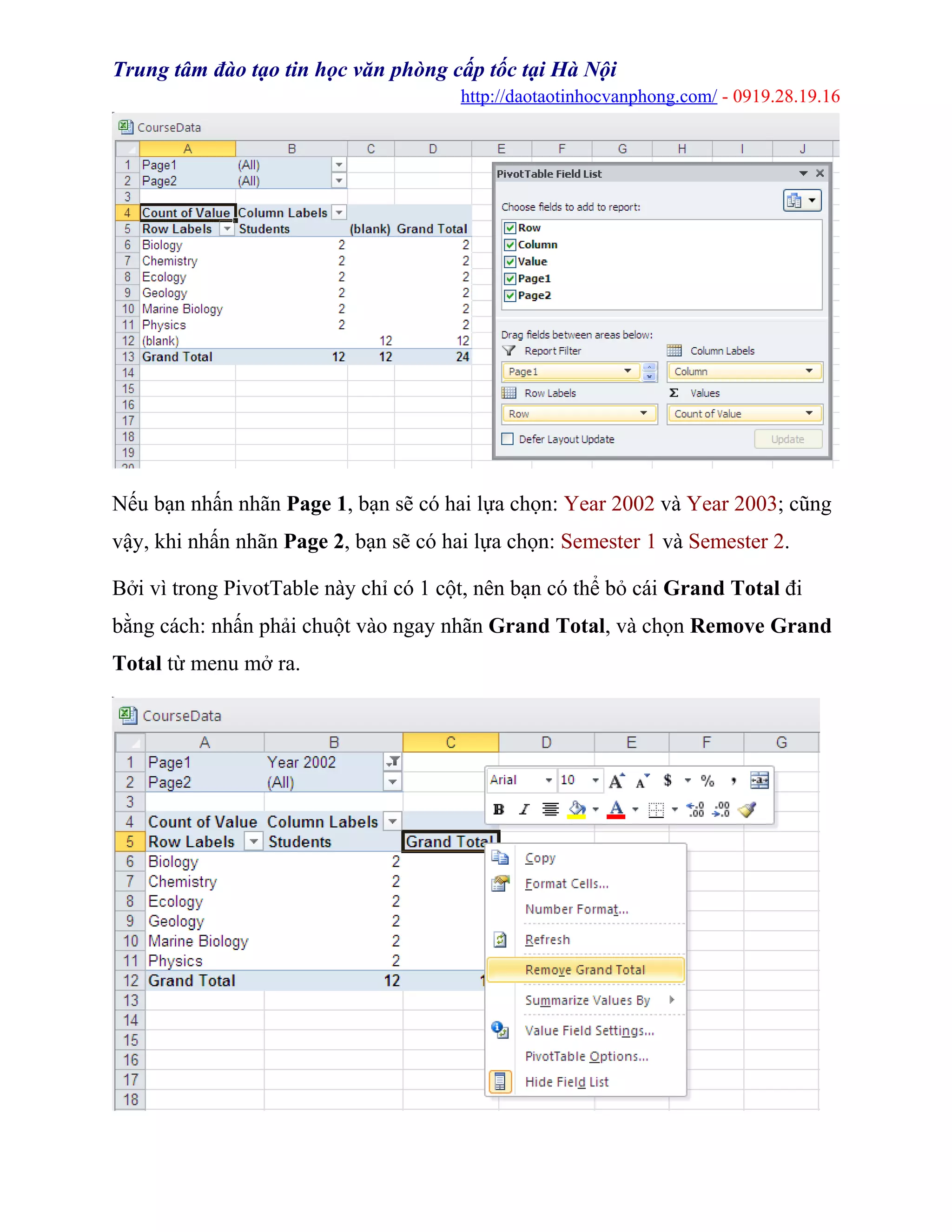 Trung tâm đào tạo tin học văn phòng cấp tốc tại Hà Nội
http://daotaotinhocvanphong.com/ - 0919.28.19.16
Nếu bạn nhấn nhãn Page 1, bạn sẽ có hai lựa chọn: Year 2002 và Year 2003; cũng
vậy, khi nhấn nhãn Page 2, bạn sẽ có hai lựa chọn: Semester 1 và Semester 2.
Bởi vì trong PivotTable này chỉ có 1 cột, nên bạn có thể bỏ cái Grand Total đi
bằng cách: nhấn phải chuột vào ngay nhãn Grand Total, và chọn Remove Grand
Total từ menu mở ra.
 
