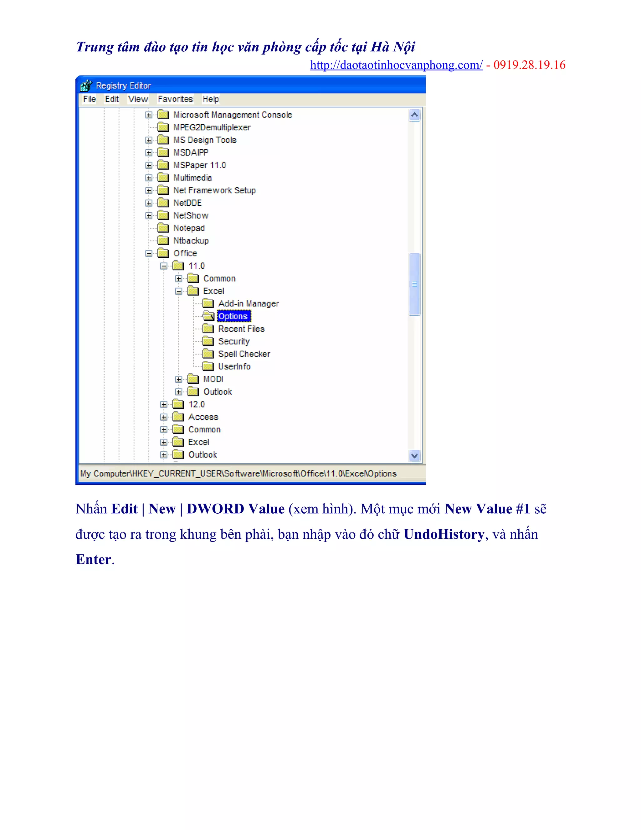 Trung tâm đào tạo tin học văn phòng cấp tốc tại Hà Nội
http://daotaotinhocvanphong.com/ - 0919.28.19.16
Nhấn Edit | New | DWORD Value (xem hình). Một mục mới New Value #1 sẽ
được tạo ra trong khung bên phải, bạn nhập vào đó chữ UndoHistory, và nhấn
Enter.
 