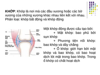 Một khớp động được cấu tạo bởi:
+ Mặt khớp: bao phủ bởi
sụn khớp
+ Phương tiện nối khớp:
bao khớp và dây chằng
+ Ổ khớp: giới hạn bởi mặt
khớp và bao khớp, có bao hoạt
dịch lót mặt trong bao khớp. Trong
ổ khớp có chất hoạt dịch
KHỚP: Khớp là nơi mà các đầu xương hoặc các bờ
xương của những xương khác nhau liên kết với nhau.
Phân loại: khớp bất động và khớp động
 