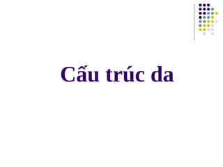 Cấu trúc da
 