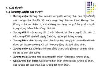 4. Chi dưới:
4.1 Xương khớp chi dưới:
 Xương chậu: Xương chậu là một xương đôi, xương chậu bên này nối tiếp
với xương chậu bên đối diện và xương cùng phía sau thành khung chậu..
Khung chậu có nhiệm vụ chứa đựng các tạng trong ổ bụng và chuyển
trọng lượng thân mình xuống chi dưới
 Xương đùi: là một xương dài có một thân và hai đầu, trong đó đầu trên có
cổ xương đùi là vị trí dễ bị gãy ở những người già loãng xương.
 Xương bánh chè: Xương bánh chè được bọc trong gân cơ tứ đầu đùi nên
được gọi là xương vừng. Có vai trò trong động tác duỗi cẳng chân.
 Xương chày: Là xương chính của cẳng chân, chịu gần toàn bộ sức nặng
cơ thể từ trên dồn xuống
 Xương mác: Xương mác là xương dài, mảnh nằm ngoài xương chày.
 Các xương bàn chân: Các xương bàn chân gồm có: các xương cổ chân,
các xương đốt bàn chân, các xương đốt ngón chân.
 