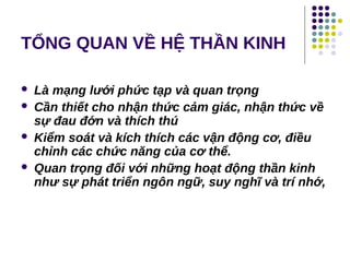 TỔNG QUAN VỀ HỆ THẦN KINH
 Là mạng lưới phức tạp và quan trọng
 Cần thiết cho nhận thức cảm giác, nhận thức về
sự đau đớn và thích thú
 Kiểm soát và kích thích các vận động cơ, điều
chỉnh các chức năng của cơ thể.
 Quan trọng đối với những hoạt động thần kinh
như sự phát triển ngôn ngữ, suy nghĩ và trí nhớ,
 