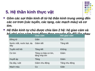 5. Hệ thần kinh thực vật
 Gồm các sợi thần kinh đi từ hệ thần kinh trung ương đến
các cơ trơn (các tuyến, các tạng, các mạch máu) và cơ
tim.
 Hệ thần kinh tự chủ được chia làm 2 hệ: hệ giao cảm và
hệ phó giao cảm hoạt động theo nguyên tắc đối lập nhau
Giao cảm Đối giao cảm
Đồng tử Giãn Co
Nước mắt, nước bọt, dạ
dày
Giảm tiết Tăng tiết
Tuyến mồ hôi Tăng tiết Không
Cơ tim Tăng co bóp cơ tim,
tăng nhịp tim
Giảm
Huyết áp Tăng Giảm
Dạ dày, ruột Giảm nhu động Tăng nhu động
Mạch máu Co Giãn
 