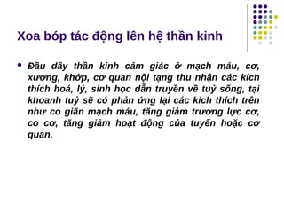 Xoa bóp tác động lên hệ thần kinh
 Đầu dây thần kinh cảm giác ở mạch máu, cơ,
xương, khớp, cơ quan nội tạng thu nhận các kích
thích hoá, lý, sinh học dẫn truyền về tuỷ sống, tại
khoanh tuỷ sẽ có phản ứng lại các kích thích trên
như co giãn mạch máu, tăng giảm trương lực cơ,
co cơ, tăng giảm hoạt động của tuyến hoặc cơ
quan.
 