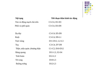 Nội tạng Tiết đoạn thần kinh tác động
Tim và động mạch chủ trên C3-C4, D1-D3
Phổi và phế quản C3-C4, D3-D9
Dạ dày C3-C4, D5-D9
Ruột C3-C4, D9-L1
Trực tràng D11-D12, L2-L3
Tuỵ C3-C4, D7-D9
Thận ,niệu quản ,thượng thận C1-C2, D10-D12
Bàng quang D11-L3, S3-S4
Tinh hoàn D12-L3
Tử cung D10-L3
Buồng trứng D12-L3
 
