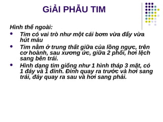 GiẢI PHẪU TIM
Hình thể ngoài:
 Tim có vai trò như một cái bơm vừa đẩy vừa
hút máu
 Tim nằm ở trung thất giữa của lồng ngực, trên
cơ hoành, sau xương ức, giữa 2 phổi, hơi lệch
sang bên trái.
 Hình dạng tim giống như 1 hình tháp 3 mặt, có
1 đáy và 1 đỉnh. Đỉnh quay ra trước và hơi sang
trái, đáy quay ra sau và hơi sang phải.
 