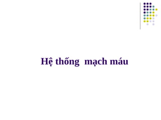 Hệ thống mạch máu
 