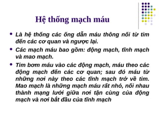 Hệ thống mạch máu
 Là hệ thống các ống dẫn máu thông nối từ tim
đến các cơ quan và ngược lại.
 Các mạch máu bao gồm: động mạch, tĩnh mạch
và mao mạch.
 Tim bơm máu vào các động mạch, máu theo các
động mạch đến các cơ quan; sau đó máu từ
những nơi này theo các tĩnh mạch trở về tim.
Mao mạch là những mạch máu rất nhỏ, nối nhau
thành mạng lưới giữa nơi tận cùng của động
mạch và nơi bắt đầu của tĩnh mạch
 