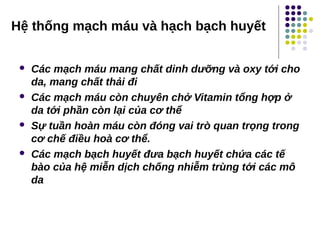 Hệ thống mạch máu và hạch bạch huyết
 Các mạch máu mang chất dinh dưỡng và oxy tới cho
da, mang chất thải đi
 Các mạch máu còn chuyên chở Vitamin tổng hợp ở
da tới phần còn lại của cơ thể
 Sự tuần hoàn máu còn đóng vai trò quan trọng trong
cơ chế điều hoà cơ thể.
 Các mạch bạch huyết đưa bạch huyết chứa các tế
bào của hệ miễn dịch chống nhiễm trùng tới các mô
da
 
