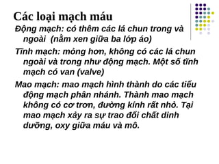 Các loại mạch máu
Động mạch: có thêm các lá chun trong và
ngoài (nằm xen giữa ba lớp áo)
Tĩnh mạch: mỏng hơn, không có các lá chun
ngoài và trong như động mạch. Một số tĩnh
mạch có van (valve)
Mao mạch: mao mạch hình thành do các tiểu
động mạch phân nhánh. Thành mao mạch
không có cơ trơn, đường kính rất nhỏ. Tại
mao mạch xảy ra sự trao đổi chất dinh
dưỡng, oxy giữa máu và mô.
 