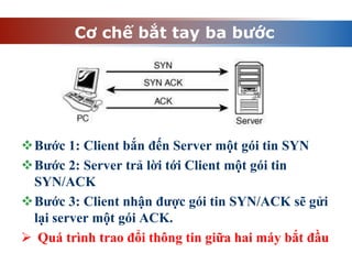 Cơ chế bắt tay ba bước
Bước 1: Client bắn đến Server một gói tin SYN
Bước 2: Server trả lời tới Client một gói tin
SYN/ACK
Bước 3: Client nhận được gói tin SYN/ACK sẽ gửi
lại server một gói ACK.
 Quá trình trao đổi thông tin giữa hai máy bắt đầu
 