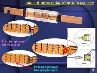 CẦU CHÌ DÙNG PHẦN TỬ NGẮT MẠCH KÉP
18
Phần tử ngắt mạch
bảo vệ quá tải
Phần tử ngắt mạch
bảo vệ ngắn mạch
 