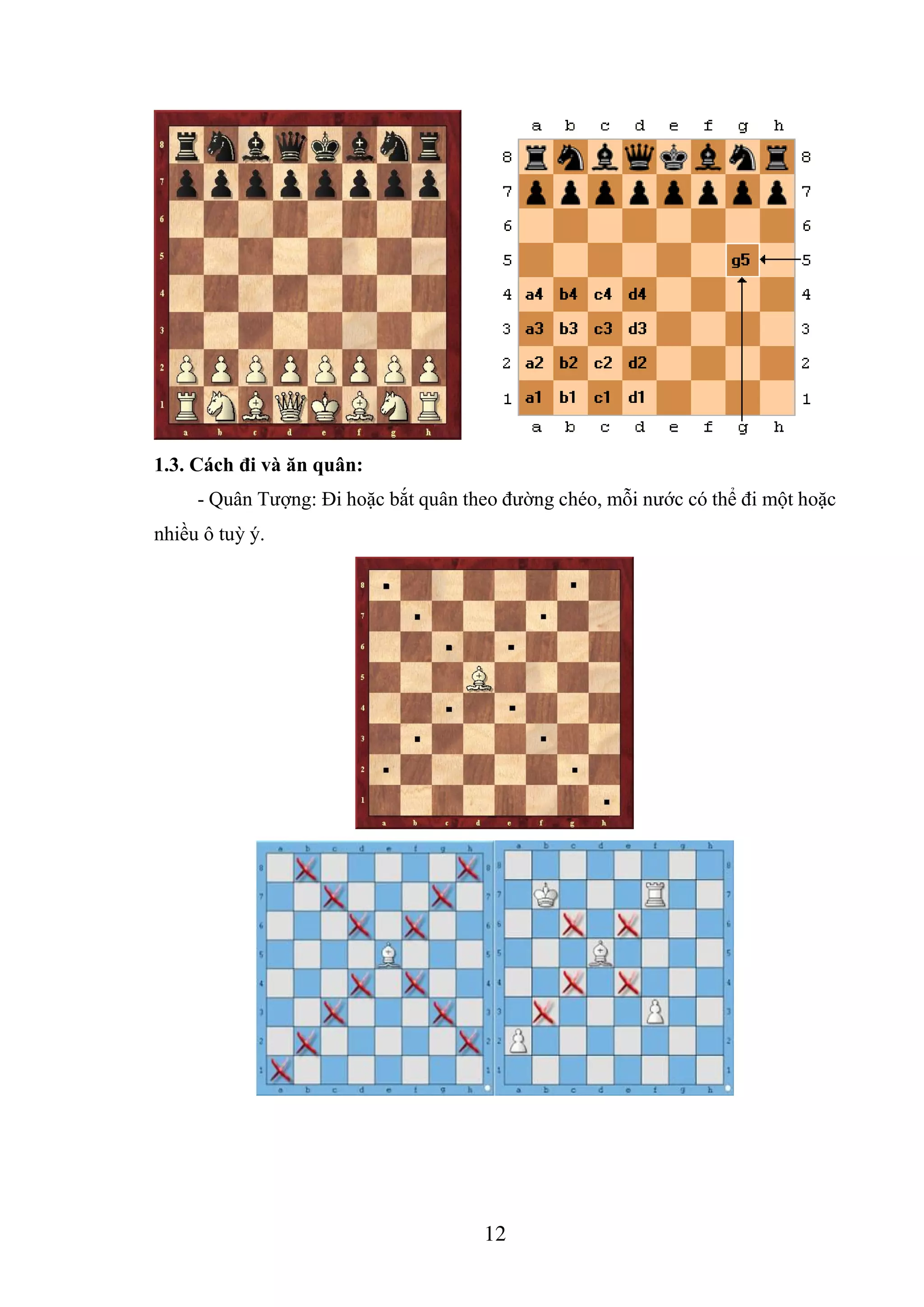 12
1.3. Cách đi và ăn quân:
- Quân Tượng: Đi hoặc bắt quân theo đường chéo, mỗi nước có thể đi một hoặc
nhiều ô tuỳ ý.
 
