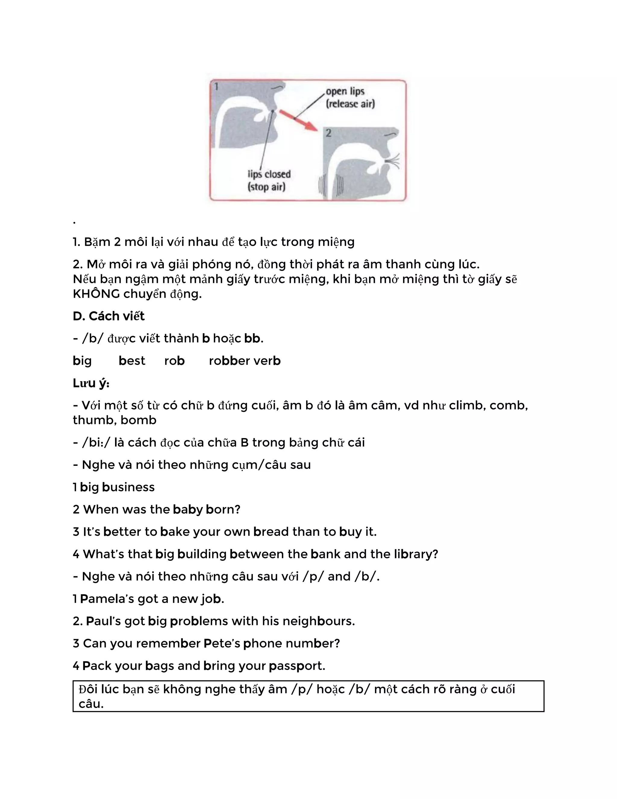 .
1. Bặm 2 môi lại với nhau để tạo lực trong miệng
2. Mở môi ra và giải phóng nó, đồng thời phát ra âm thanh cùng lúc.
Nếu bạn ngậm một mảnh giấy trước miệng, khi bạn mở miệng thì tờ giấy sẽ
KHÔNG chuyển động.
D. Cách viết
- /b/ được viết thành b hoặc bb.
big best rob robber verb
Lưu ý:
- Với một số từ có chữ b đứng cuối, âm b đó là âm câm, vd như climb, comb,
thumb, bomb
- /bi:/ là cách đọc của chữa B trong bảng chữ cái
- Nghe và nói theo những cụm/câu sau
1 big business
2 When was the baby born?
3 It’s better to bake your own bread than to buy it.
4 What’s that big building between the bank and the library?
- Nghe và nói theo những câu sau với /p/ and /b/.
1 Pamela’s got a new job.
2. Paul’s got big problems with his neighbours.
3 Can you remember Pete’s phone number?
4 Pack your bags and bring your passport.
Đôi lúc bạn sẽ không nghe thấy âm /p/ hoặc /b/ một cách rõ ràng ở cuối
câu.
 